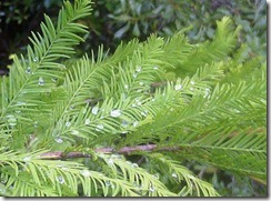 Take time to be mindful for your health