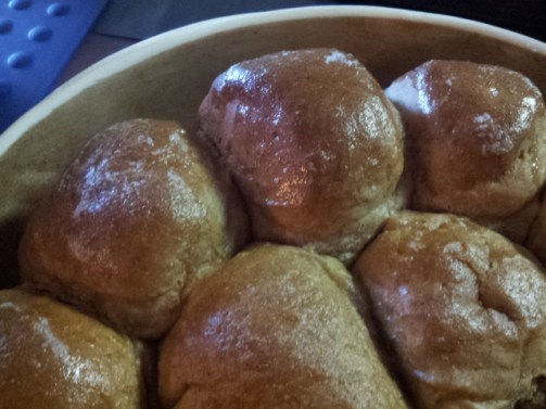Whole Wheat Rolls